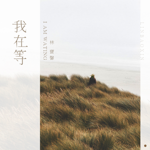 精品国产蜜臀成人免费网站
